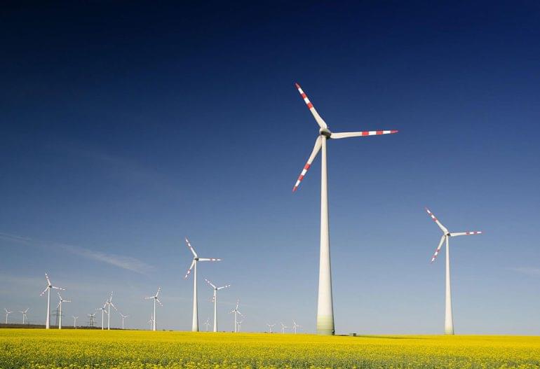 Study Shows Solar Panels’ Long – term Cost – effectiveness